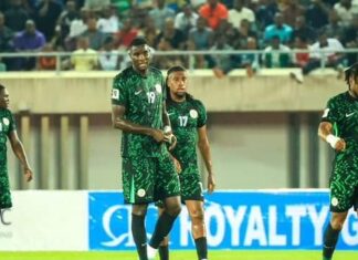 Eagles slip up in World Cup qualifying race with defeat to Cheetahs