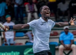 Davis Cup: Nigeria secure promotion to World group II
