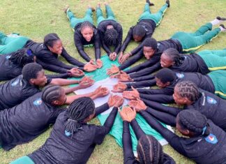 Nigerian cricket team pick World Cup ticket
