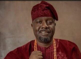 Tinubu appoints Bukola Olopade as DG of NSC