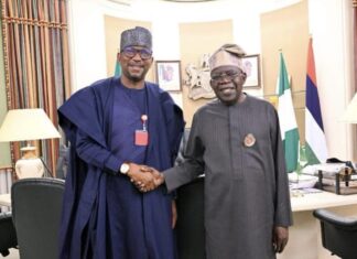 Renewed Hope Initiative For Nigeria’s Sports Economy (RHINSE): An Ultimate Game Changer
