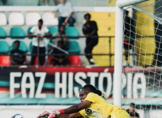 Transfer Update: Super Falcons goalkeeper Nnadozie seals move to Brighton