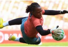 Nnadozie targets World Cup ticket with Super Falcons