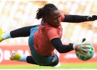 Nnadozie targets World Cup ticket with Super Falcons