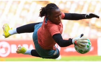 Nnadozie targets World Cup ticket with Super Falcons