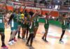 2026 FIBA WCq: D’Tigress draw Germany, France, others