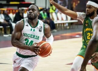 FIBA WCq: D’Tigers suffer back to back defeat