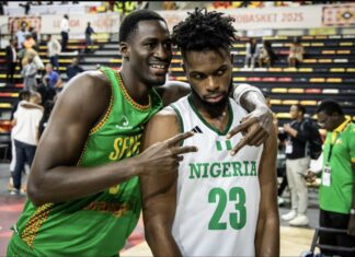 FIBA WCq: We lost because of kack of organisation – D’Tigers captain