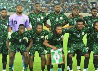 World Cup Playoffs: Chelle names Osimhen, Okoye, Moses, 21 others for Gabon, Cameroon, DR Congo battles