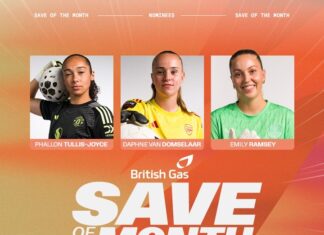 Nnadozie nominated for save of the month