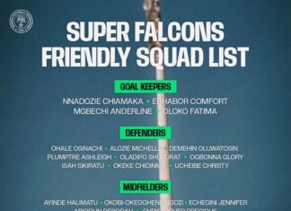 Int’l friendly: Madugu invites 25 players for Cameroon tie