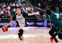 FIBA WCq: D’Tigress fall to South Korea