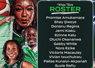 American Tour: D’Tigress unveil training camp squad
