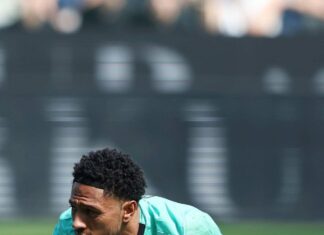 Serie A: Okoye named in team of the week after Udinese’s historic win