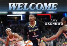 Atlanta Dream sign Nigeria’s Amy Okonkwo to developmental contract