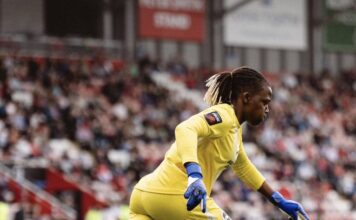 Super Falcons Goalkeeper Nnadozie Leads Brighton To Wembley