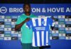 Transfer Update: Brighton sign Nigerian wonderkid Zadok Yohanna from AIK Stockholm