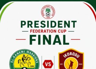 Federation Cup: El Kanemi Warriors, Ikorodu City set for final showdown