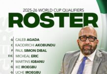 FIBA World Cup Qualifiers: D’Tigers unveil squad as David Fizdale begins Nigeria reign