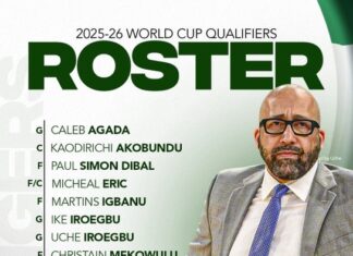FIBA World Cup Qualifiers: D’Tigers unveil squad as David Fizdale begins Nigeria reign