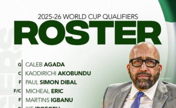 FIBA World Cup Qualifiers: D’Tigers unveil squad as David Fizdale begins Nigeria reign