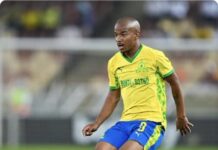 Police launch investigation into death of South Africa midfielder Jayden Adams