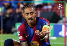 UCL Round-up: Liverpool rally to beat Atletico Madrid as Barcelona, PSG secure comprehensive wins